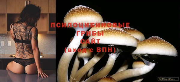 трава Алексеевка